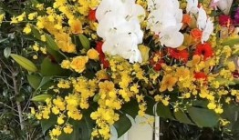 花篮网爆料了吗最新消息,揭秘热点事件背后真相