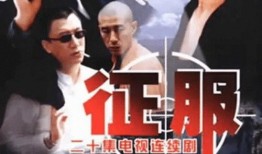 征服全集电视在线观看,在线观看，领略权谋巅峰之作